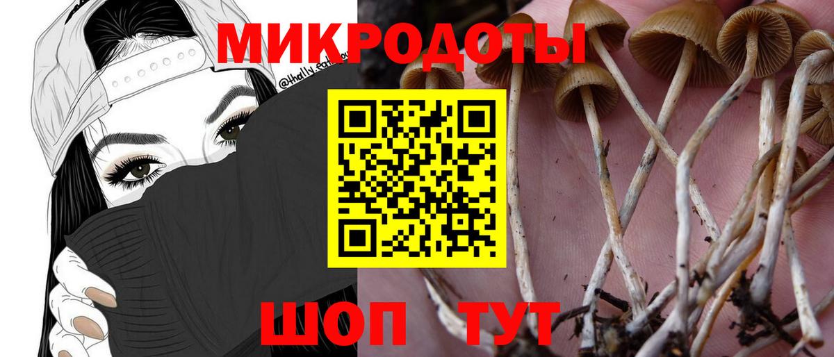 Галлюциногенные грибы GOLDEN TEACHER Сургут